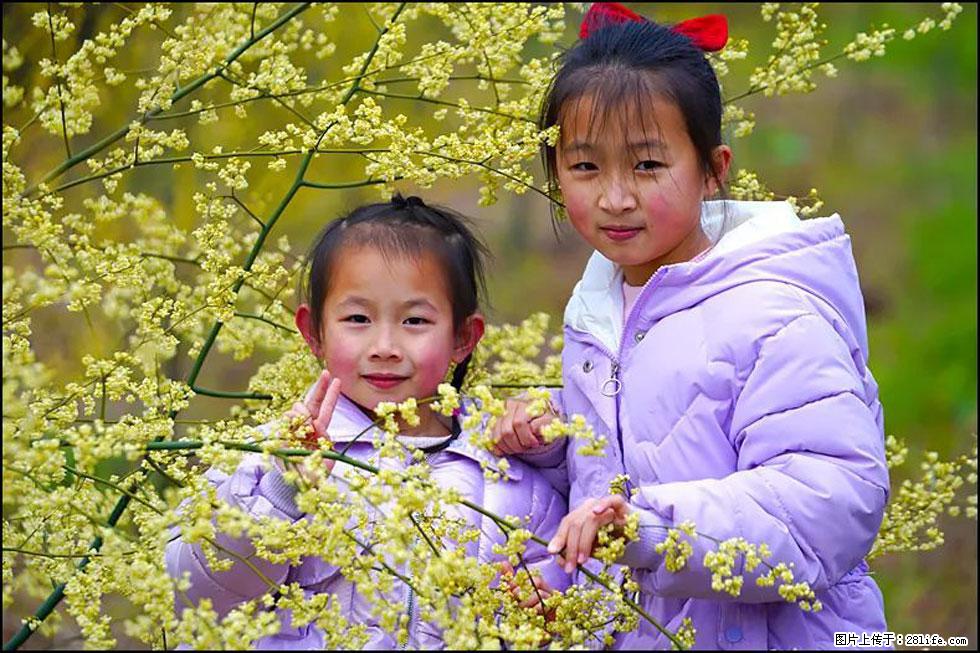 【春天，广西桂林灌阳县向您发出邀请！】米珠山前有片山苍子花在飘香 - 游山玩水 - 凭祥生活社区 - 凭祥28生活网 pingxiang.28life.net