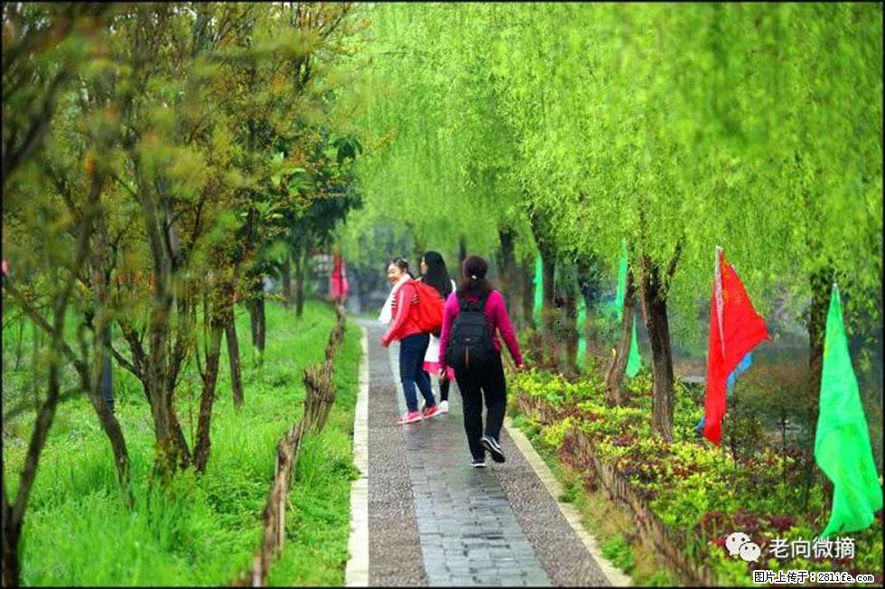 【春天，广西桂林灌阳县向您发出邀请！】江口老街又逢春 - 游山玩水 - 凭祥生活社区 - 凭祥28生活网 pingxiang.28life.net