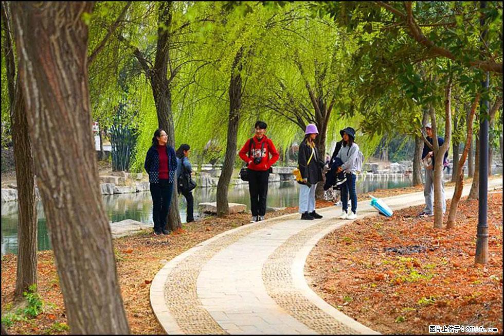 【春天，广西桂林灌阳县向您发出邀请！】江口老街又逢春 - 游山玩水 - 凭祥生活社区 - 凭祥28生活网 pingxiang.28life.net