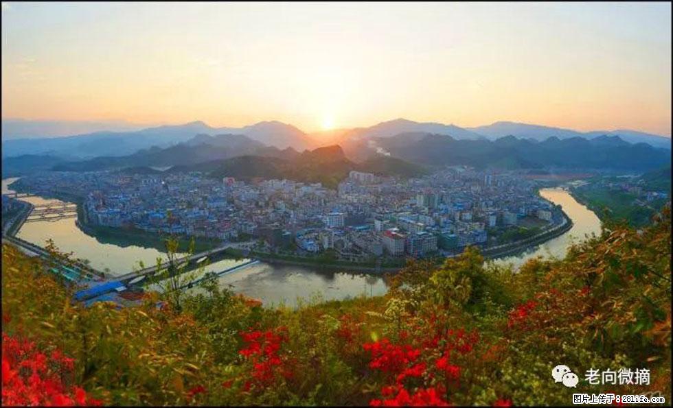 【春天，广西桂林灌阳县向您发出邀请！】登麒麟山，相约映山红 - 游山玩水 - 凭祥生活社区 - 凭祥28生活网 pingxiang.28life.net
