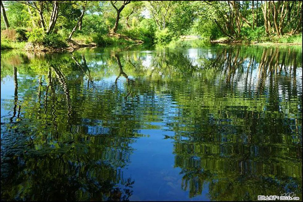 【春天，广西桂林灌阳县向您发出邀请！】熊家寨湿地公园 - 游山玩水 - 凭祥生活社区 - 凭祥28生活网 pingxiang.28life.net