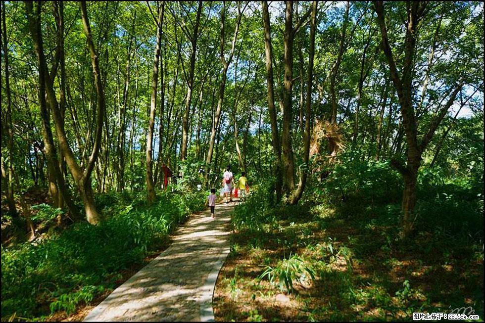 【春天，广西桂林灌阳县向您发出邀请！】熊家寨湿地公园 - 游山玩水 - 凭祥生活社区 - 凭祥28生活网 pingxiang.28life.net