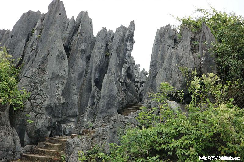 桂林旅游名城景点：灌阳文市石林 - 游山玩水 - 凭祥生活社区 - 凭祥28生活网 pingxiang.28life.net