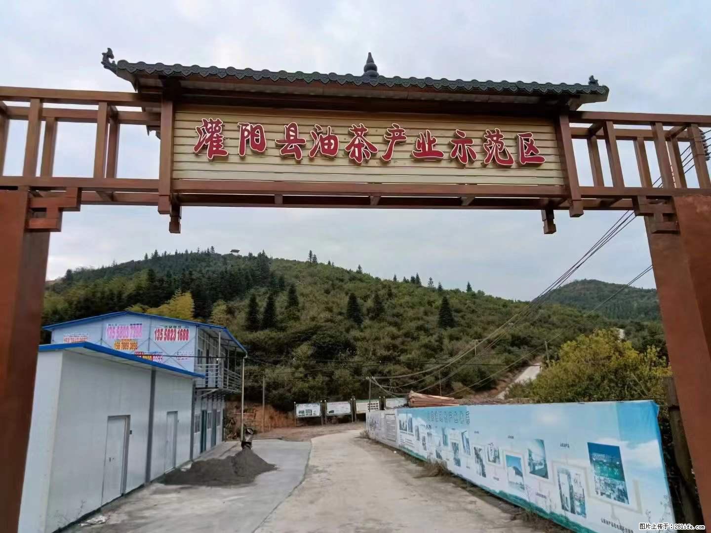 【灌阳县油茶产业示范区】一个有着充实的精神生活的人，对待身外之物自会有一种淡泊的态度 - 土特产 - 饮食特产 - 凭祥分类信息 - 凭祥28生活网 pingxiang.28life.net