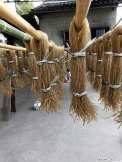 【灌阳正宗红薯粉】美女家里自己做的，干净卫生，假一赔十，价格合理，抢购电话：13737312895 - 凭祥28生活网 pingxiang.28life.net