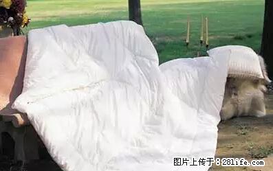 被子有异味？只要这样做，比晒太阳还强100倍！ - 家居生活 - 凭祥生活社区 - 凭祥28生活网 pingxiang.28life.net