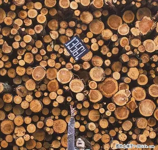 辞掉工作周游世界？现在他们在洗厕所…… - 游山玩水 - 凭祥生活社区 - 凭祥28生活网 pingxiang.28life.net