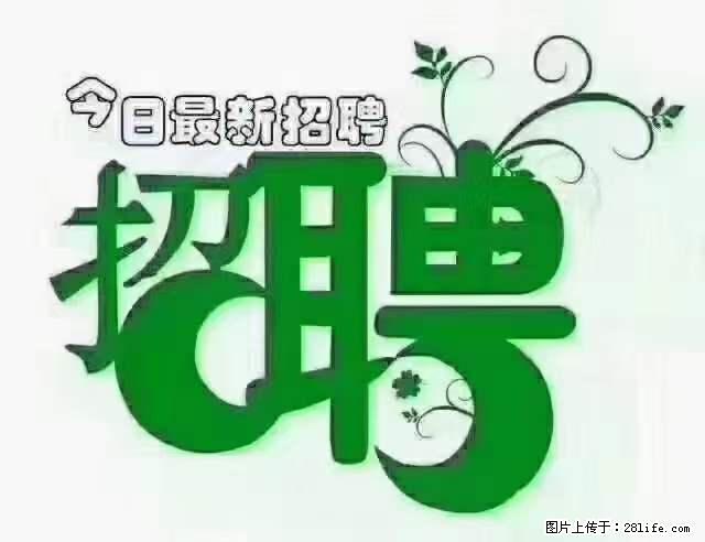 【招聘摄像师】待遇：试用期6000元/月，转正7000元/月+五险一金+餐补+节日福利+奖金 - 其他招聘信息 - 招聘求职 - 凭祥分类信息 - 凭祥28生活网 pingxiang.28life.net