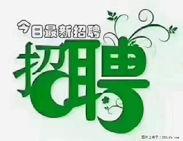 上海青浦区招仓管 - 职场交流 - 凭祥生活社区 - 凭祥28生活网 pingxiang.28life.net