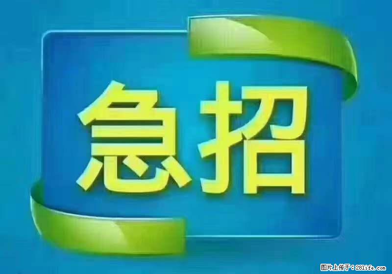 招出纳8000元/月，无证可以，要有相关经验，上海五险一金，包住，包工作餐，做六休一。 - 职场交流 - 凭祥生活社区 - 凭祥28生活网 pingxiang.28life.net