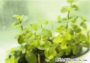 晕车、脚气、牙齿变黄、皮肤粗糙?学会这些三分钟搞定! - 凭祥生活资讯 - 凭祥28生活网 pingxiang.28life.net