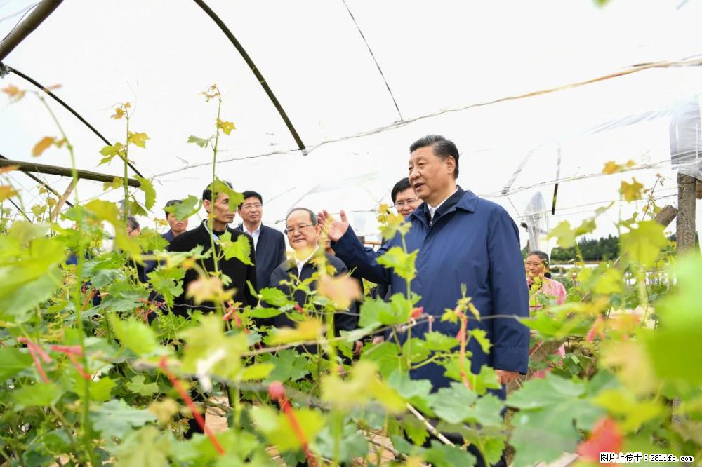 习近平赴广西考察调研 - 凭祥生活资讯 - 凭祥28生活网 pingxiang.28life.net