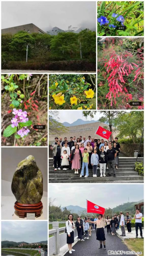 “粤灌文化 美好生活”油茶文化主题活动在广东深圳成功举办 - 凭祥生活资讯 - 凭祥28生活网 pingxiang.28life.net