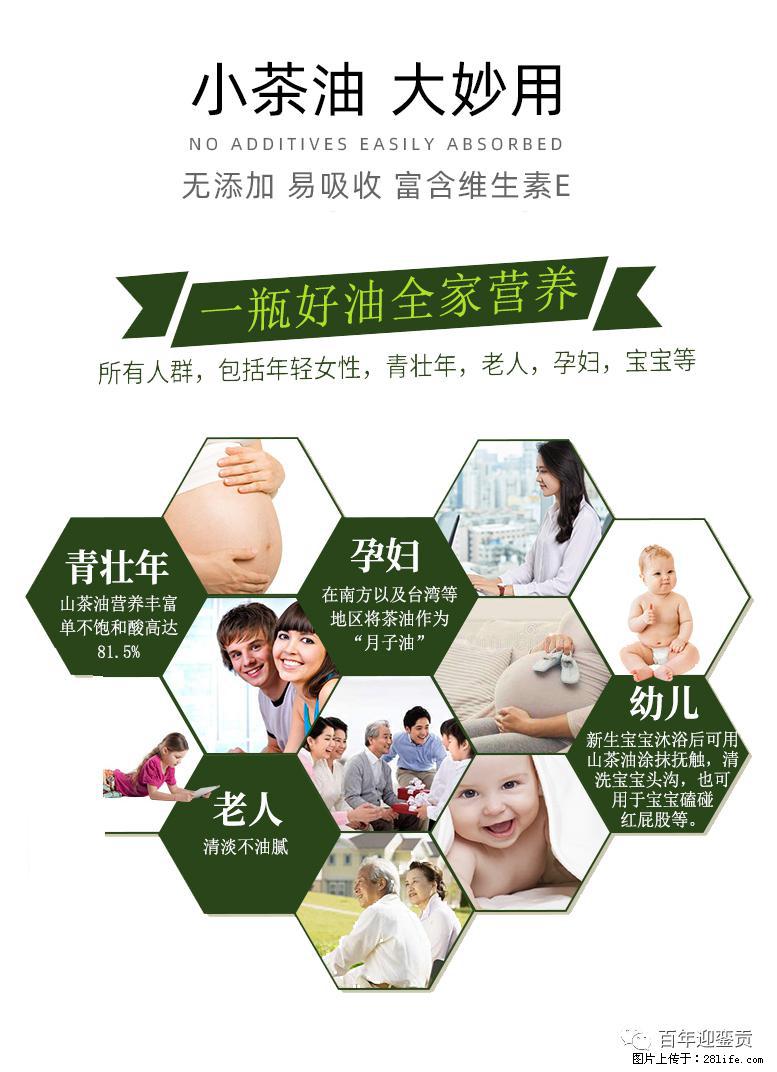 世界没有真相，只有认知，最好的食用油是中国的山茶油！ - 凭祥生活资讯 - 凭祥28生活网 pingxiang.28life.net