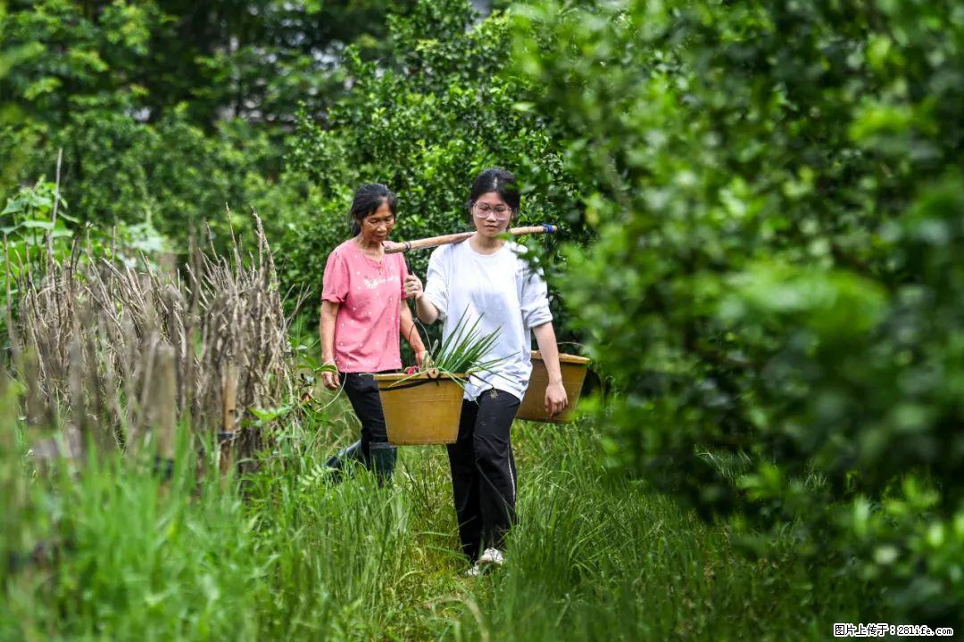全网追的“扁担女孩”，找了一份暑假工，时薪12元 - 凭祥生活资讯 - 凭祥28生活网 pingxiang.28life.net
