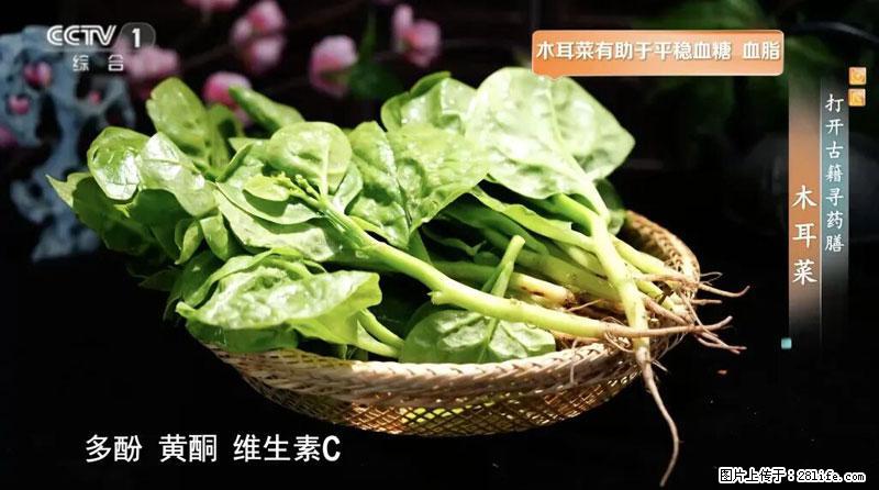 比牛奶补钙还厉害!凉血解毒、稳血糖...这菜冬天必吃,很多人却当草 - 凭祥生活资讯 - 凭祥28生活网 pingxiang.28life.net